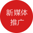 全網(wang)營(ying)銷品(pin)牌推廣(guang)